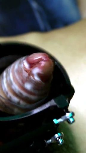 How long can this poor penis withstand the movements of a BDSM machine?   Clip 2