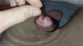 Cock sunding