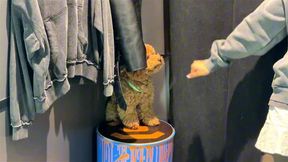 Echoes of Desire, Group Sex in Symphonic Bliss ?