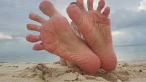 Sandy Beach Soles (mkv)