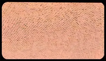 Lisa - Studio 4 - Sultry Paradise online streaming