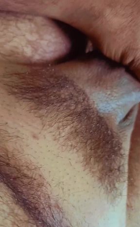 BibearXXX 26