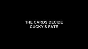 THE CARDS DECIDE CUCKY'S FATE