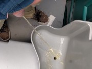 Port a Potty at a festival
