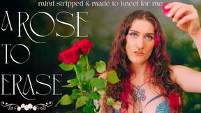 A Rose to Erase... 🌹 I'll strip your mind and have you kneel in supplication.