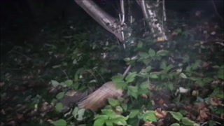 Hexe fickt Besen im Wald