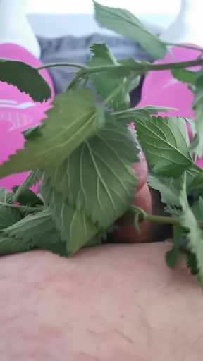 I torture the tip of my little cock with stinging nettles in pink Nike Pro leggings. It burns so hot!