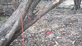 Every Halloween This Hot Succubus Deepthroats Another Penis on a Outdoor Trail inside the Haunted Woods