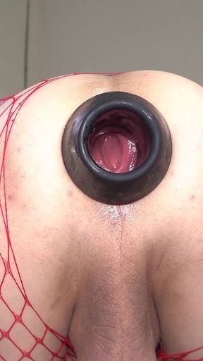 Life of Ass Expansion Masturbation #15