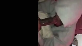 Big Black Cock Gets Sucked by Amateur