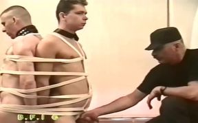 Gay lords 1