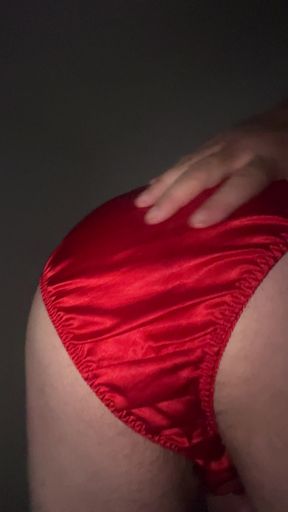 Silk panties