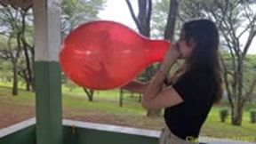 Katie B2P a Red Printed 14" BelBal