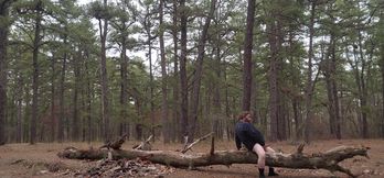 More of out in the woods