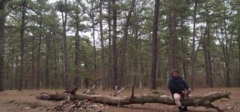 More of out in the woods