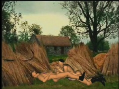 It's a big cock gay four way, on the farm, outdoors in 3D animation