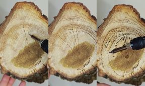 Log burning 2