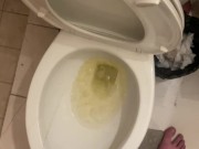 Piss into shared hostel toilet