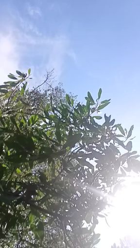 Being free