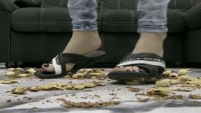 It's a hard crush video with no mercy for the gummy bears MP4 HD 720p