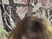 BBW WIFE IN LINGERIE GIVES FOOTJOB, TITTYFUCK AND BLOWJOB RECEIVES A THROATPIE SWALLOWING CUM