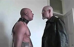 Slapped Bear Face