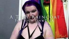 A Tiny Raincoat for Your Tiny Dick (wmv)