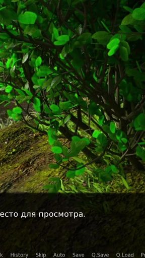 Unforgettable moment from "DusklightManor - Watching Sex in the Woods E1 #77"