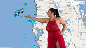 This week's forecast