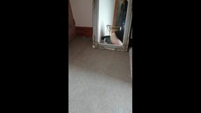 I bounce on my 13.5 inch dildo while moaning and dripping cum from penis