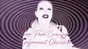 Stage 1: From Porn Craving to Permanent Obsession