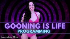 Gooning is Life Programming: 720p