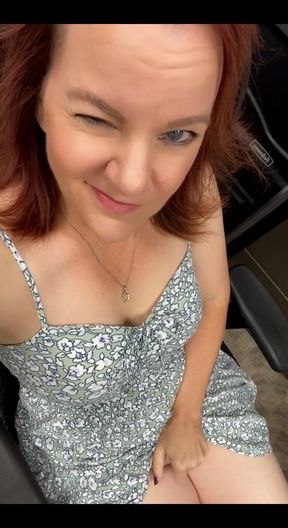Pussy in the Car