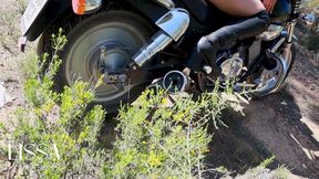 Vibrations in My Motorcycle That Make Plants Move with the E