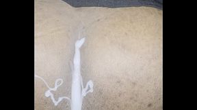 ABW GROOMS THE GROOM &amp_ JACK HAMMERS ASS HOLE