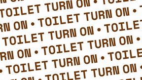 Toilet Turn On