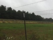 No Store, Dressing Room or Vineyard is Safe! (Preview)