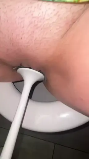 Licking public toilets in the hotel and playing with toilet brush