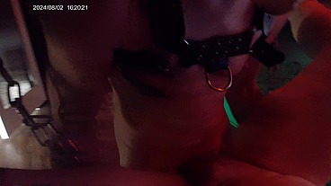 Johntrillium - update #66 - DSCF0040 - Aug 17, 2024