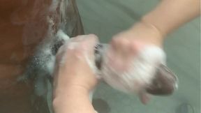 Step Sister Teases Big BBC, Flirts With Brother When Mom And Dad Are Out