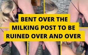 Bent Over the Milking Post to Be Ruined Over and Over Again