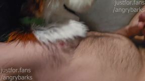 Good boys get hard from praise those vocal murrsuiter cumshots wrecked him deep