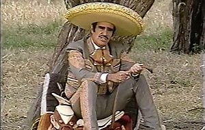 Vicente fernandez: para que seas feliz