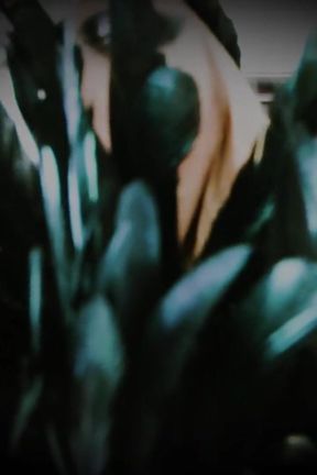 Brain Washed Under My Effects