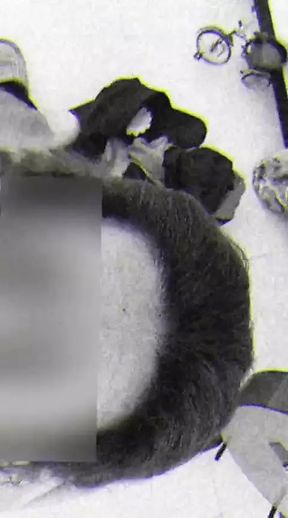 POV, slut sucking dick