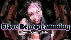 SLAVE REPROGRAMMING COMPILATION