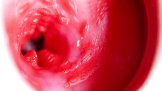 Cute meaty head glides inwards BFF's sweet glossy fuck-hole!