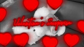 Valentine’s Surprise