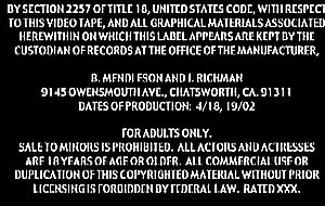 huge  titted  milf  getting  pounded  hard -  kayla  kleevage