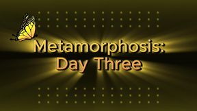 Metamorphosis: Day Three